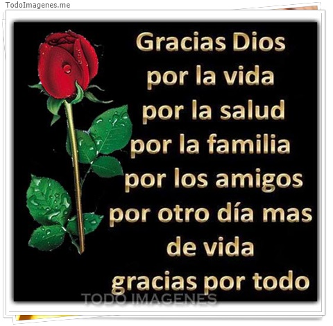 imagen de 8206-20160302-034325