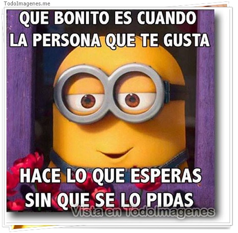 imagen de 10339-20160302-034555