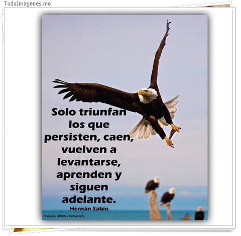 imagen de 11511-20160302-034715