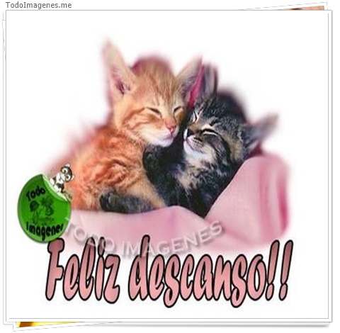 imagen de 2228-20160302-033833