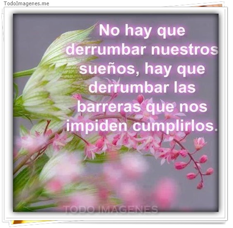 imagen de 5003-20160302-034039