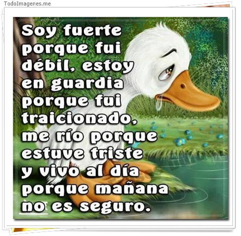 imagen de 4550-20160302-034018