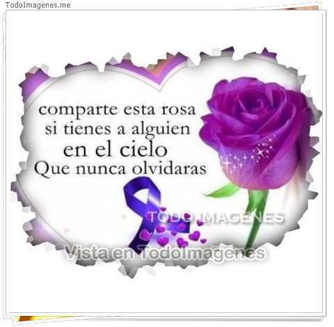 imagen de 10699-20160302-034619