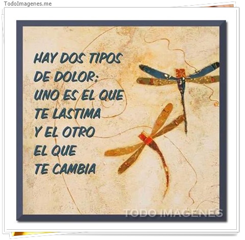 imagen de 3386-20160302-033926