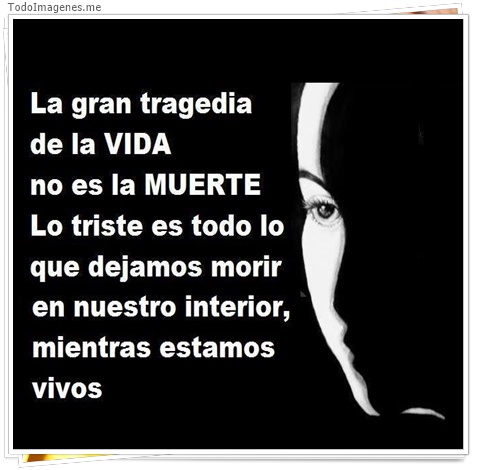 imagen de 6024-20160302-034124