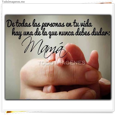 imagen de 3077-20160302-033911