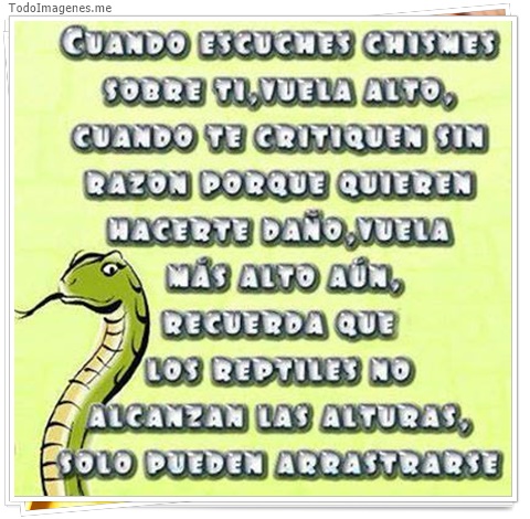 imagen de 4461-20160302-034013