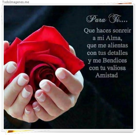 imagen de 4104-20160302-033958