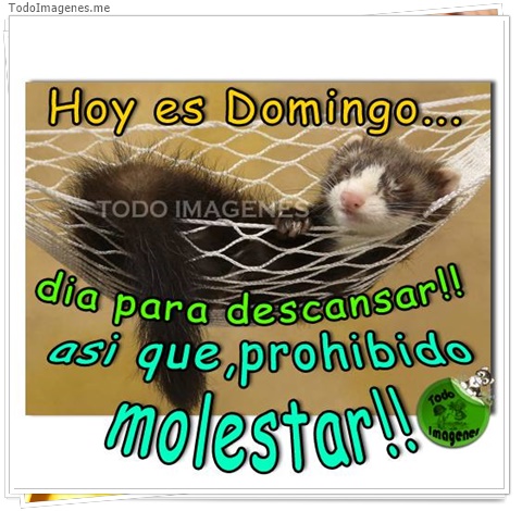 imagen de 3728-20160302-033942