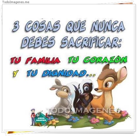 imagen de 5494-20160302-034101