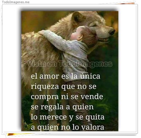imagen de 088-20160919-181833