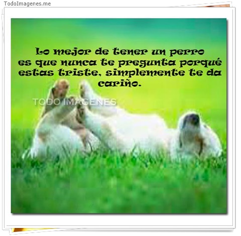 imagen de 3200-20160302-033917