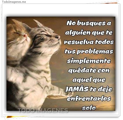 imagen de 8491-20160302-034345