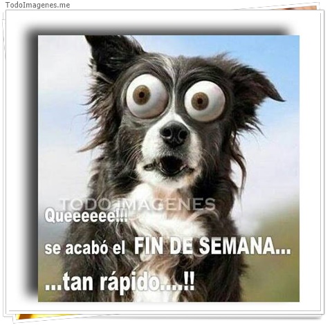 imagen de 2299-20160302-033836