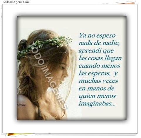 imagen de 2294-20160302-033836