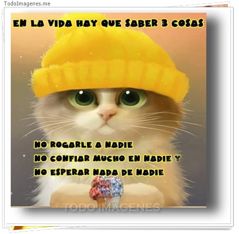 imagen de 5919-20160302-034120
