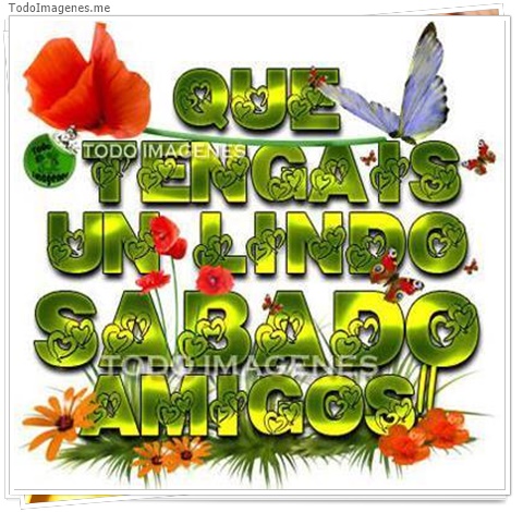 imagen de 5088-20160302-034042