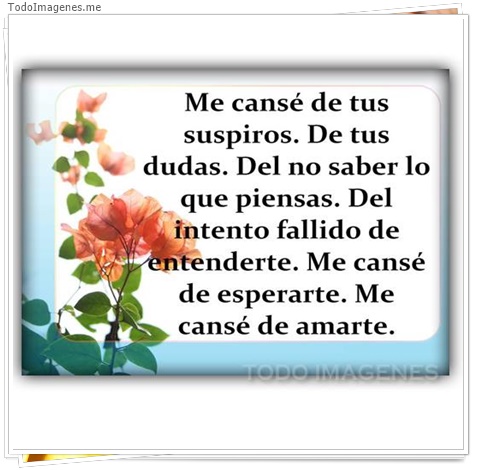 imagen de 9131-20160302-034426