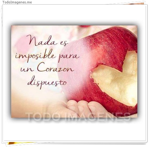 imagen de 2865-20160302-033902