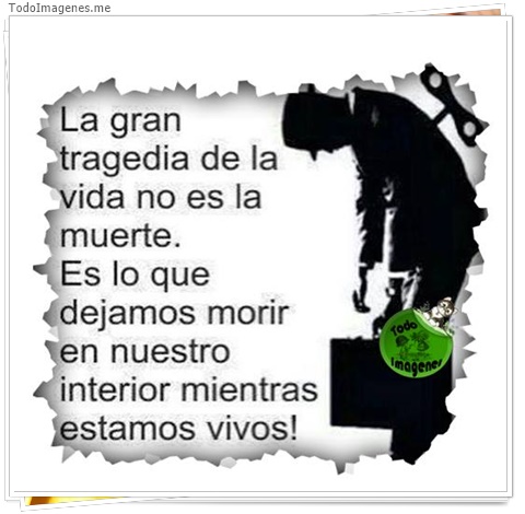 imagen de 1321-20160302-033752