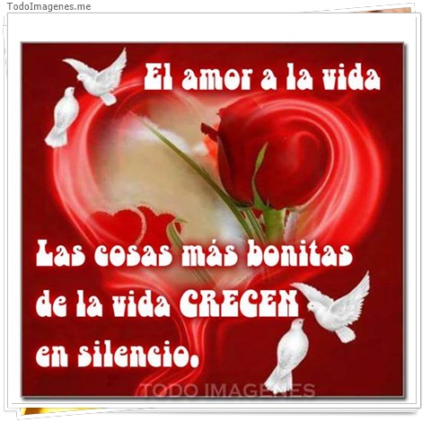 imagen de 7008-20160302-034211