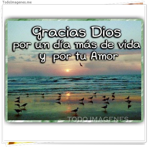 imagen de 5345-20160302-034053