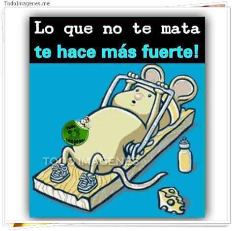 imagen de 940-20160302-033735