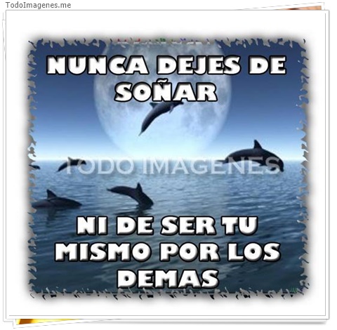 imagen de 2221-20160302-033832