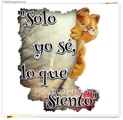 imagen de 9002-20160302-034418