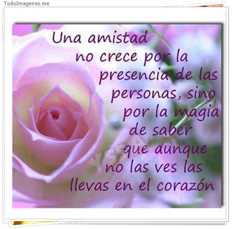 imagen de 7609-20160302-034246