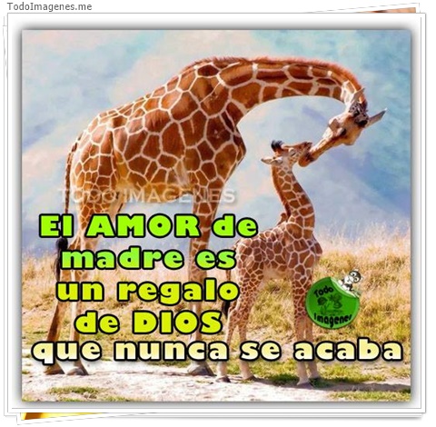 imagen de 5696-20160302-034110