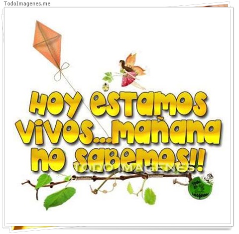 imagen de 11432-20160302-034710