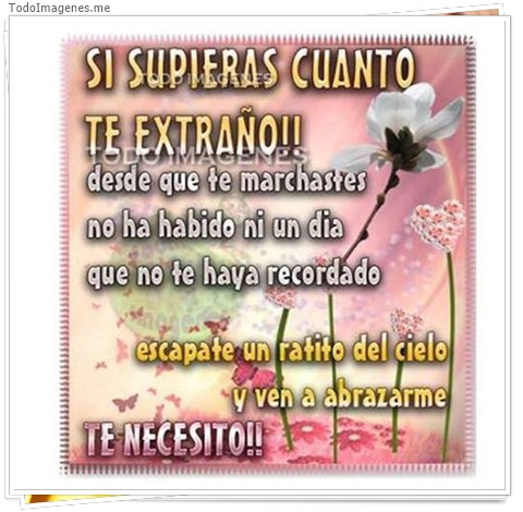 imagen de 2608-20160302-033849