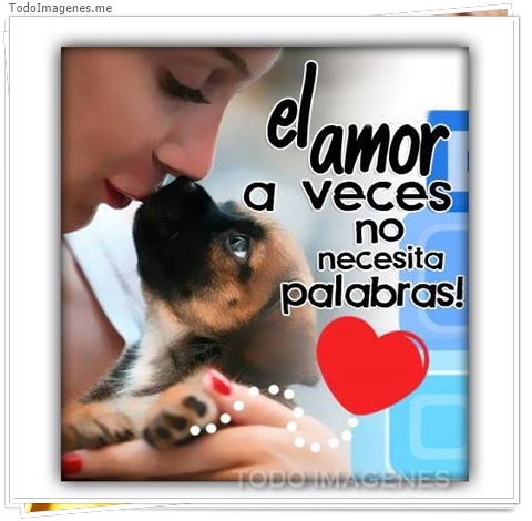 imagen de 4828-20160302-034030