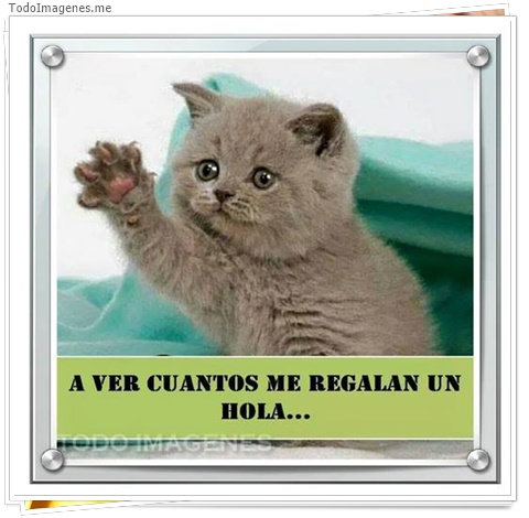 imagen de 7398-20160302-034233