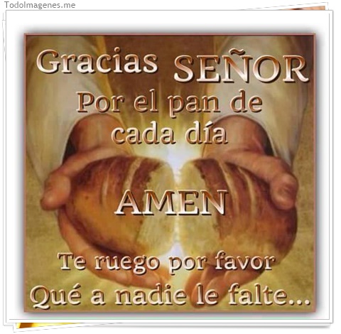imagen de 051-20160810-120250
