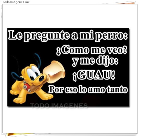 imagen de 4407-20160302-034011