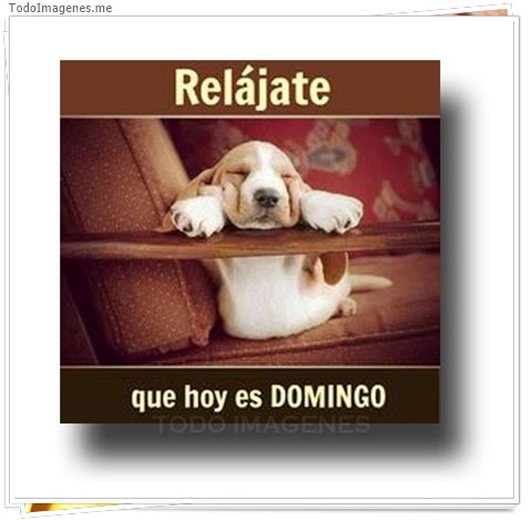 imagen de 7961-20160302-034307