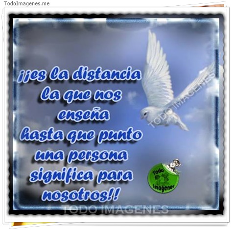 imagen de 3516-20160302-033932