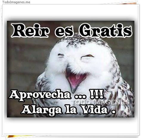 imagen de 9495-20160302-034449