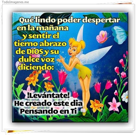 imagen de 083-20161102-105609