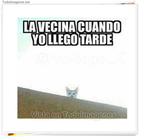imagen de 10489-20160302-034605