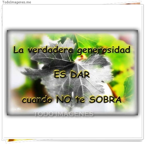 imagen de 9065-20160302-034421