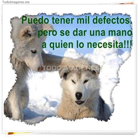 imagen de 6605-20160302-034152