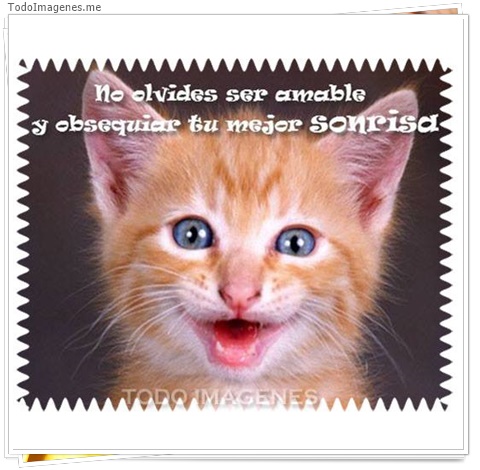 imagen de 8073-20160302-034316