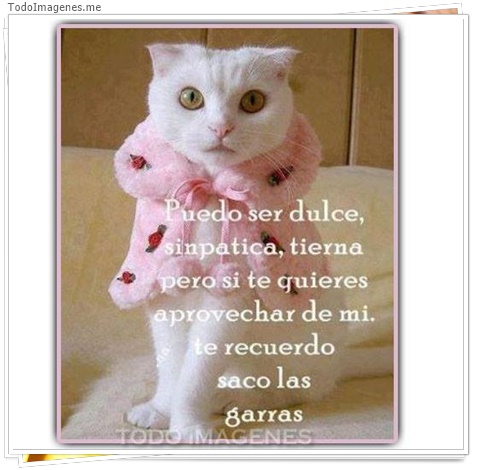 imagen de 5642-20160302-034107