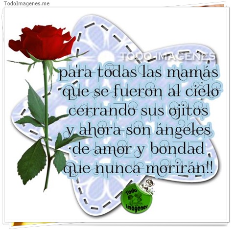 imagen de 8810-20160302-034406