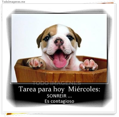 imagen de 4854-20160302-034031