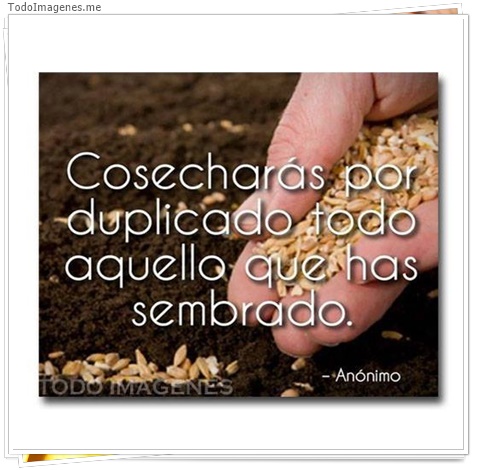 imagen de 3330-20160302-033923