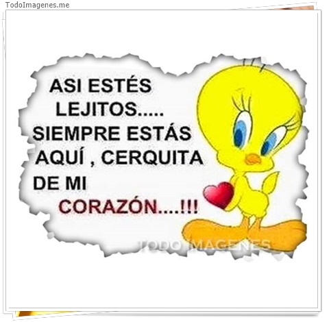 imagen de 7254-20160302-034225